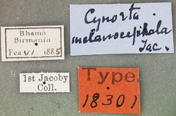 Media type: image; Entomology 18301   Aspect: labels